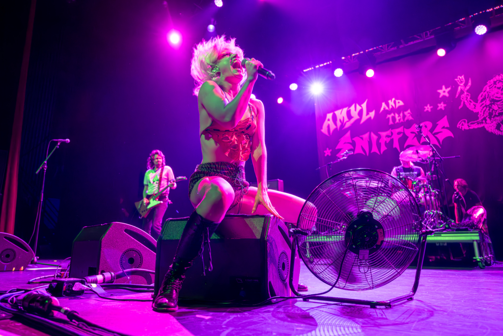 Amyl and the Sniffers